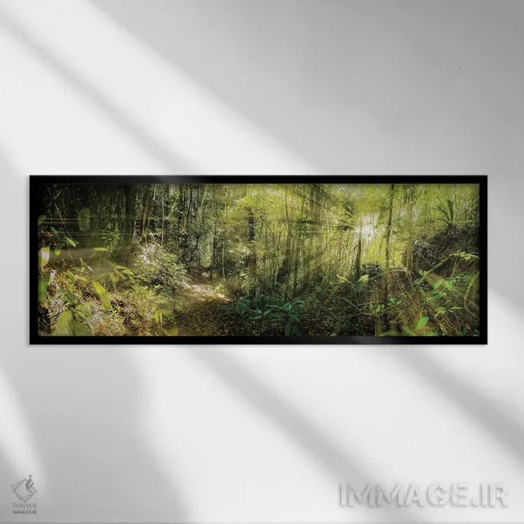 تابلو جنگل گرمسیری شماره ۱۱ اثر گلاوکو منهالی - نمای قابدار مشکی