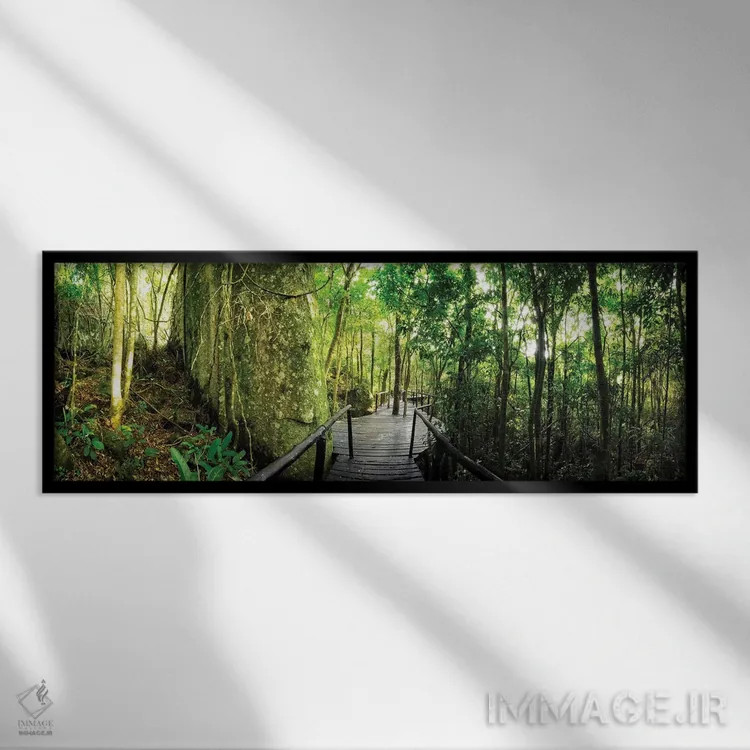 تابلو جنگل گرمسیری شماره ۶ اثر گلاوکو منهالی - نمای قابدار مشکی