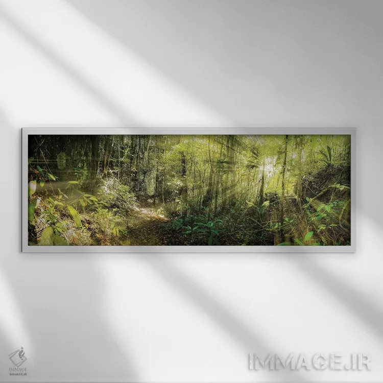 تابلو جنگل گرمسیری شماره ۱۱ اثر گلاوکو منهالی - نمای قابدار سفید