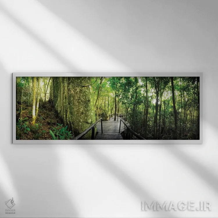 تابلو جنگل گرمسیری شماره ۶ اثر گلاوکو منهالی - نمای قابدار سفید