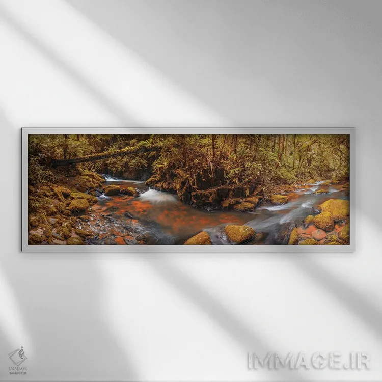 تابلو پانورامای جنگل II اثر گلاوکو منهالی - نمای قابدار سفید