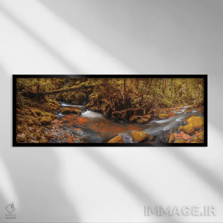 تابلو پانورامای جنگل II اثر گلاوکو منهالی - نمای قابدار مشکی