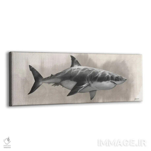 تابلو نقاشی کوسه سفید بزرگ اثر استیو گود - نمای پرسپکتیو محصول