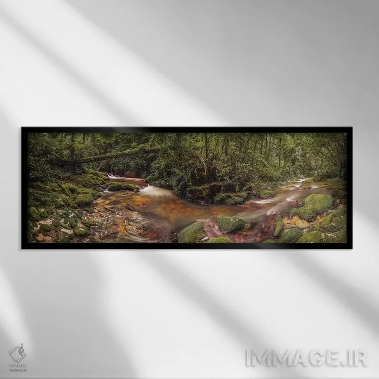 تابلو پانورامای داخل جنگل اثر گلاوکو منهالی - نمای قابدار مشکی