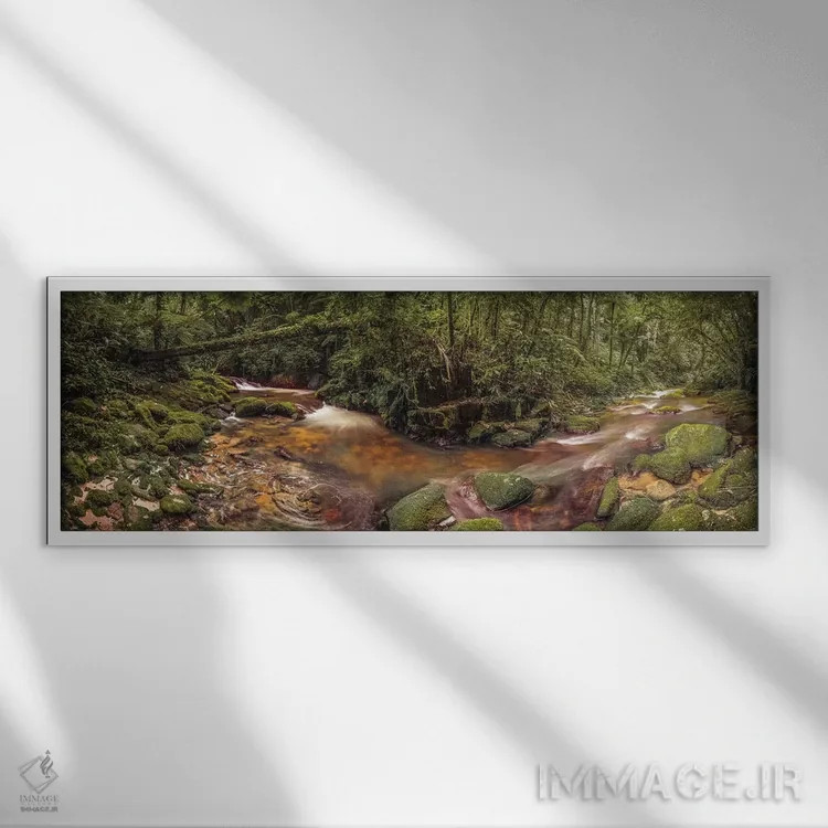 تابلو پانورامای داخل جنگل اثر گلاوکو منهالی - نمای قابدار سفید