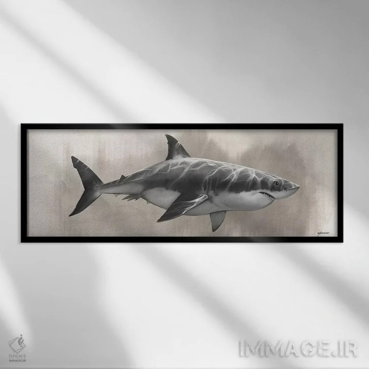تابلو نقاشی کوسه سفید بزرگ اثر استیو گود - نمای قابدار مشکی