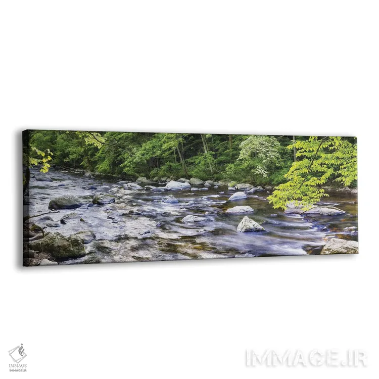 تابلو رودخانه سنگی در جنگل سرسبز، نیوجرسی اثر جورج اوزه - نمای پرسپکتیو محصول