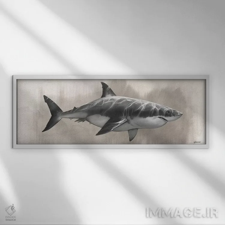 تابلو نقاشی کوسه سفید بزرگ اثر استیو گود - نمای قابدار سفید