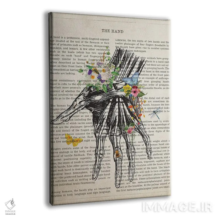 تابلو آناتومی دست (به صورت گل) اثر پیکسل کهنه (استودیو/نام هنری) - نمای پرسپکتیو محصول
