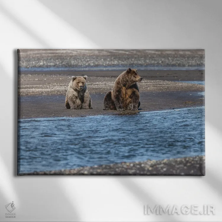 تابلو خرس گریزلی ماده بالغ و توله در حال ماهیگیری، پارک ملی لیک کلارک، آلاسکا اثر آدام جونز - نمای روبهرو روی دیوار
