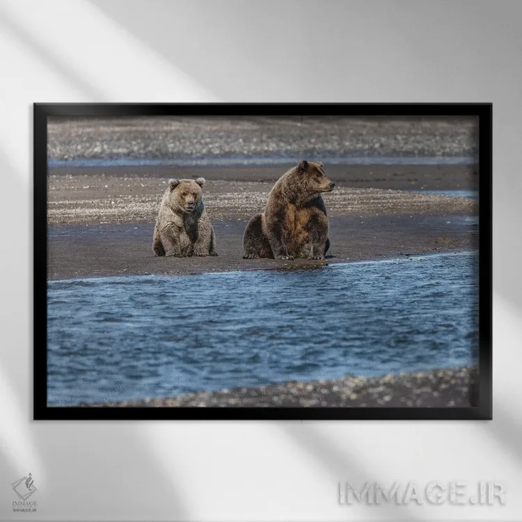 تابلو خرس گریزلی ماده بالغ و توله در حال ماهیگیری، پارک ملی لیک کلارک، آلاسکا اثر آدام جونز - نمای قابدار مشکی