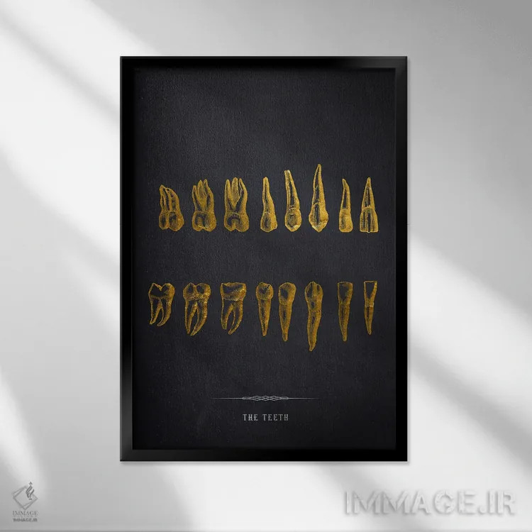 تابلو آناتومی دندانها اثر پیکسل کهنه (استودیو/نام هنری) - نمای قابدار مشکی