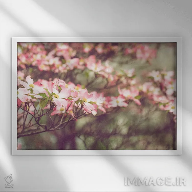 تابلو بهار تنسی اثر آن هادک - نمای قابدار سفید