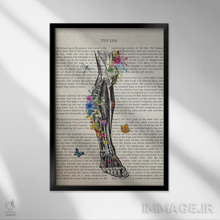تابلو آناتومی پای انسان (به صورت گل) اثر پیکسل کهنه (استودیو/نام هنری) - نمای قابدار مشکی