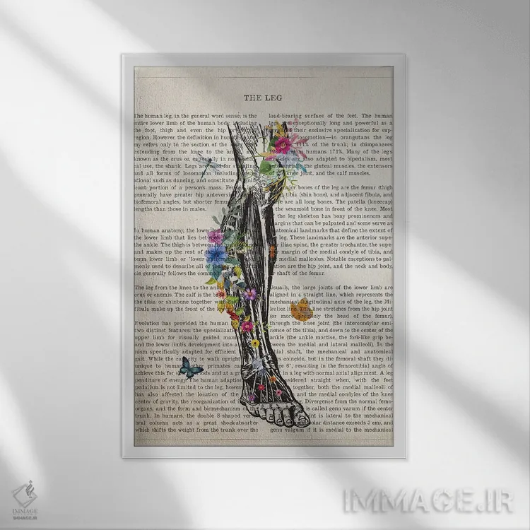 تابلو آناتومی پای انسان (به صورت گل) اثر پیکسل کهنه (استودیو/نام هنری) - نمای قابدار سفید