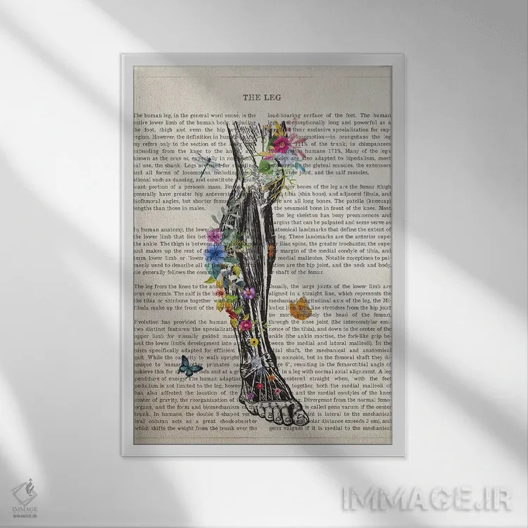 تابلو آناتومی پای انسان (به صورت گل) اثر پیکسل کهنه (استودیو/نام هنری) - نمای قابدار سفید