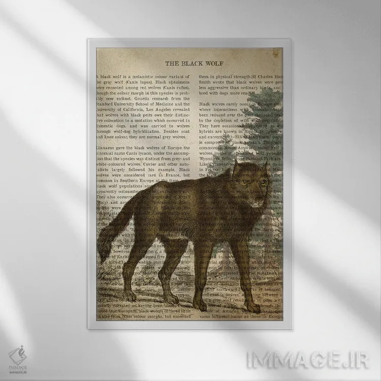 تابلو چاپ وینتیج گرگ سیاه اثر پیکسل کهنه (استودیو/نام هنری) - نمای قابدار سفید