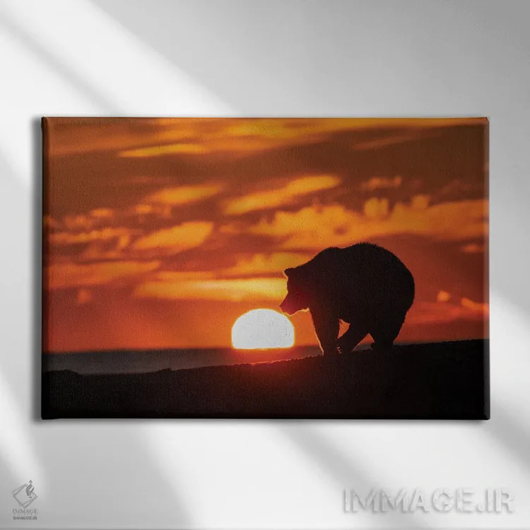 تابلو سیلوئت خرس گریزلی بالغ روی ساحل هنگام طلوع، پارک ملی لیک کلارک، آلاسکا، نهر سیلور سالمون اثر آدام جونز - نمای روبهرو روی دیوار