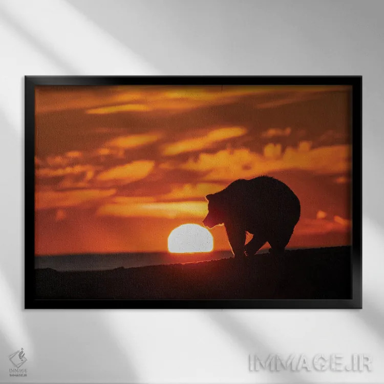 تابلو سیلوئت خرس گریزلی بالغ روی ساحل هنگام طلوع، پارک ملی لیک کلارک، آلاسکا، نهر سیلور سالمون اثر آدام جونز - نمای قابدار مشکی