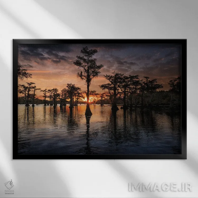 تابلو سیلوئت درختان سرو برهنه در غروب، دریاچه کادو، تگزاس اثر آدام جونز - نمای قابدار مشکی