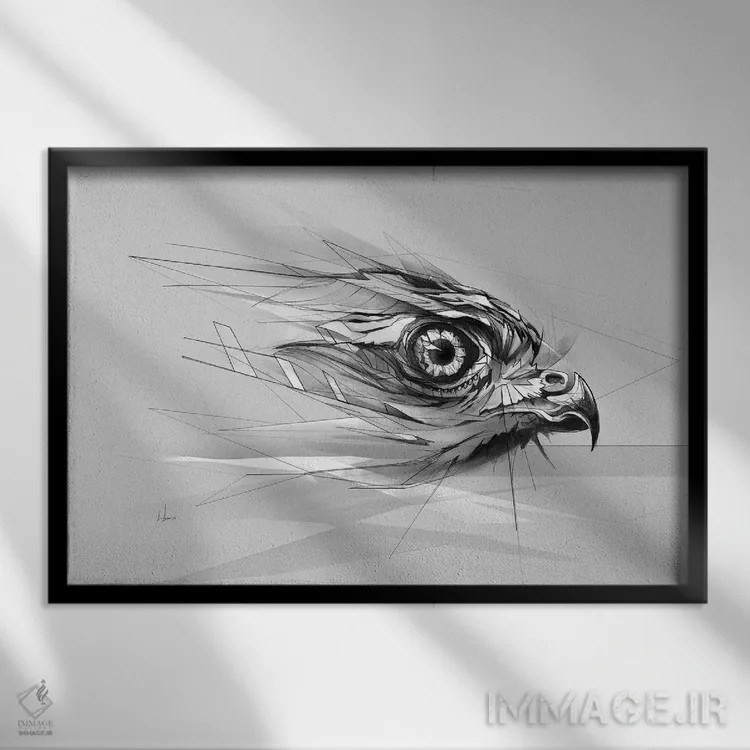 تابلو چشم شاهین اثر الکسیس مارکو - نمای قابدار مشکی