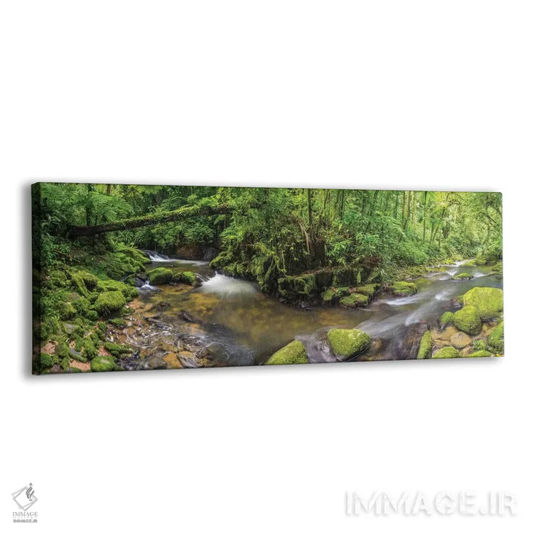 تابلو پانورامای جنگل I اثر گلاوکو منهالی - نمای پرسپکتیو محصول