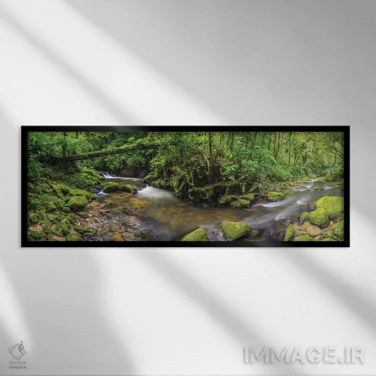 تابلو پانورامای جنگل I اثر گلاوکو منهالی - نمای قابدار مشکی