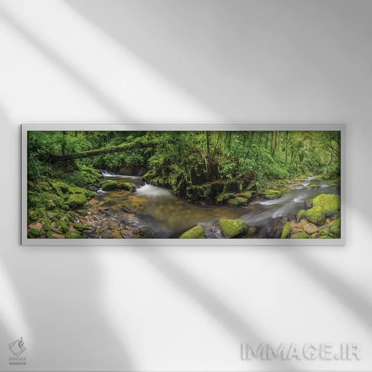 تابلو پانورامای جنگل I اثر گلاوکو منهالی - نمای قابدار سفید