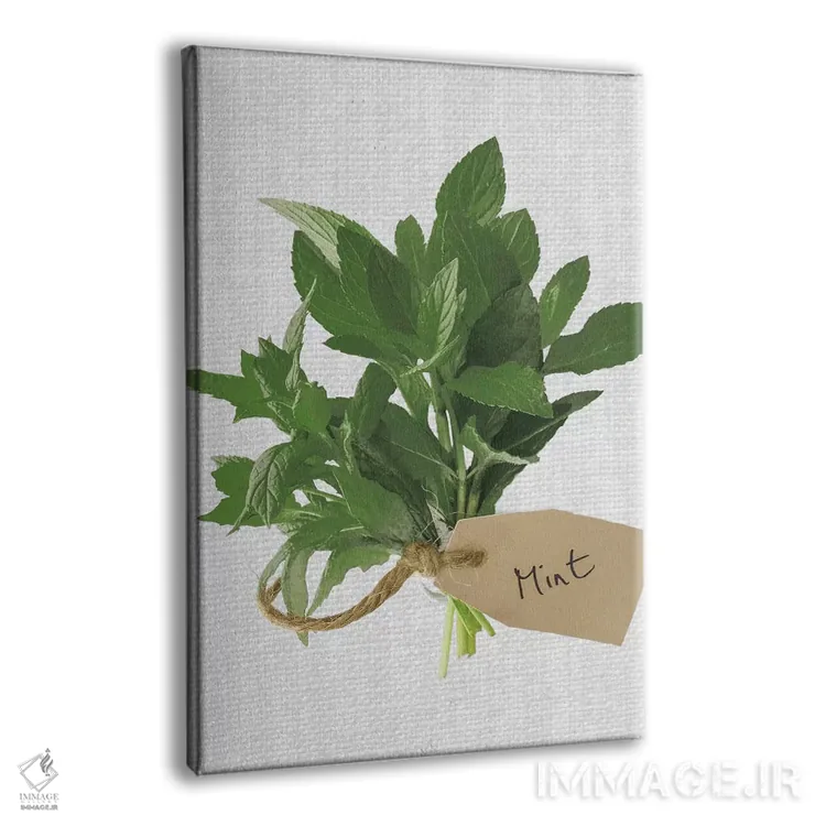 تابلو نعنا اثر آصاف فرانک - نمای پرسپکتیو محصول