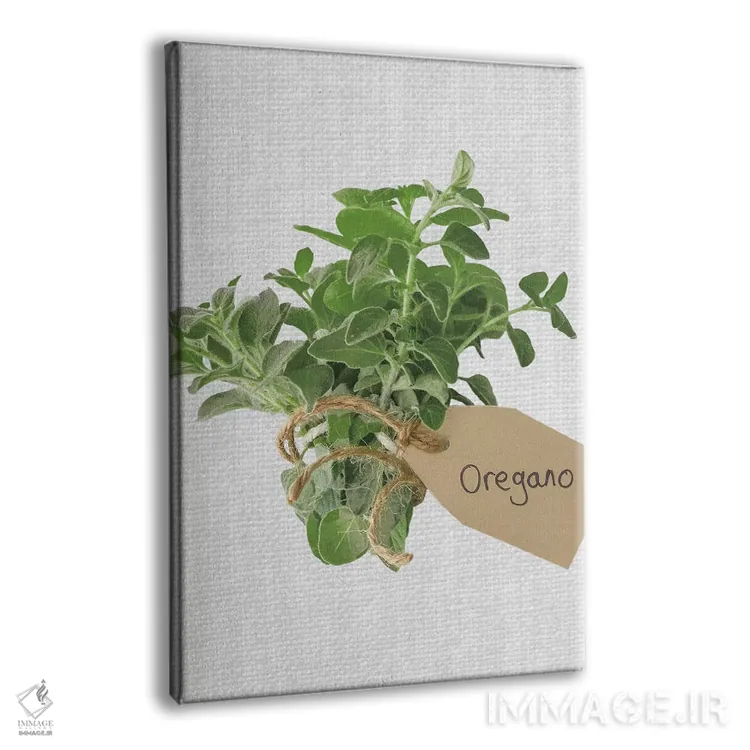 تابلو پونه کوهی اثر آصاف فرانک - نمای پرسپکتیو محصول