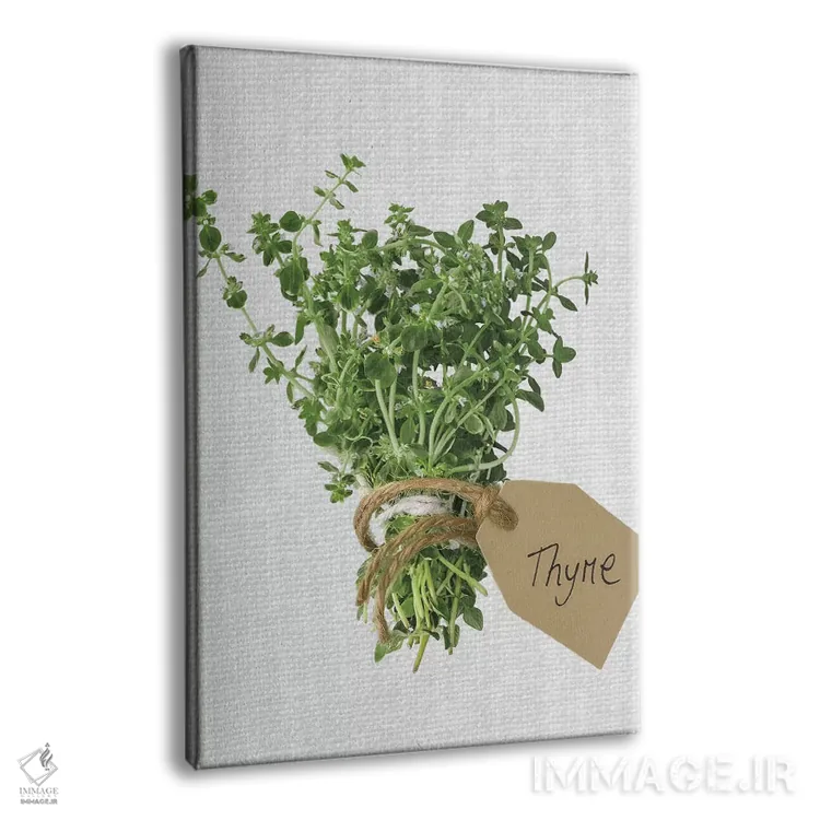 تابلو آویشن اثر آصاف فرانک - نمای پرسپکتیو محصول