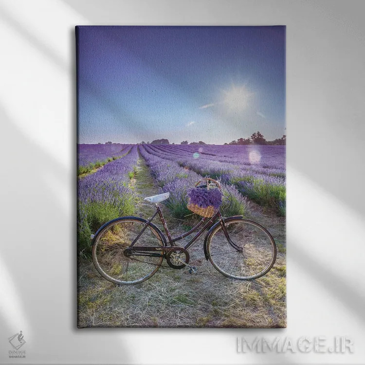 تابلو اسطوخودوس اثر آصاف فرانک - نمای روبهرو روی دیوار