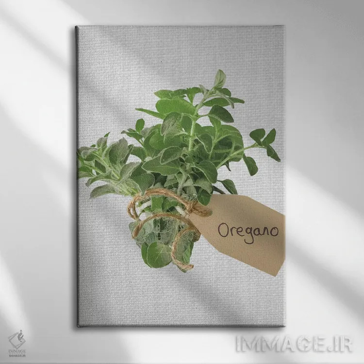 تابلو پونه کوهی اثر آصاف فرانک - نمای روبهرو روی دیوار