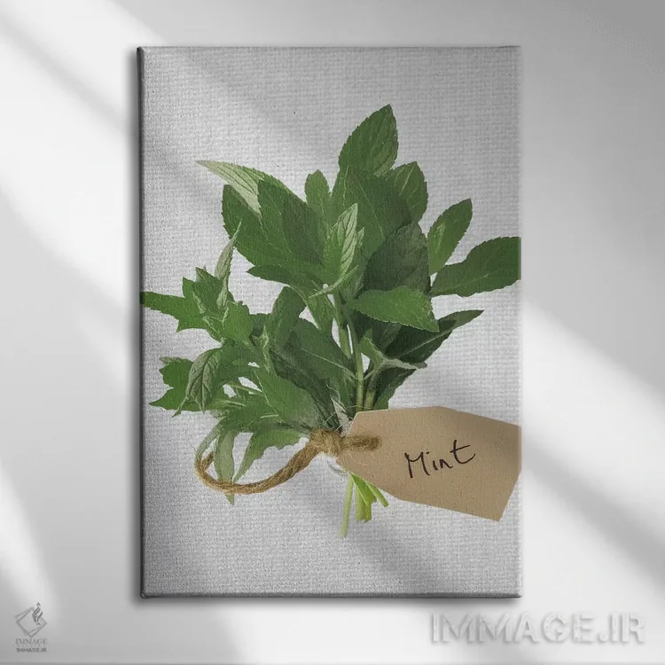 تابلو نعنا اثر آصاف فرانک - نمای روبهرو روی دیوار