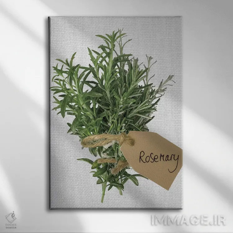 تابلو رزماری اثر آصاف فرانک - نمای روبهرو روی دیوار