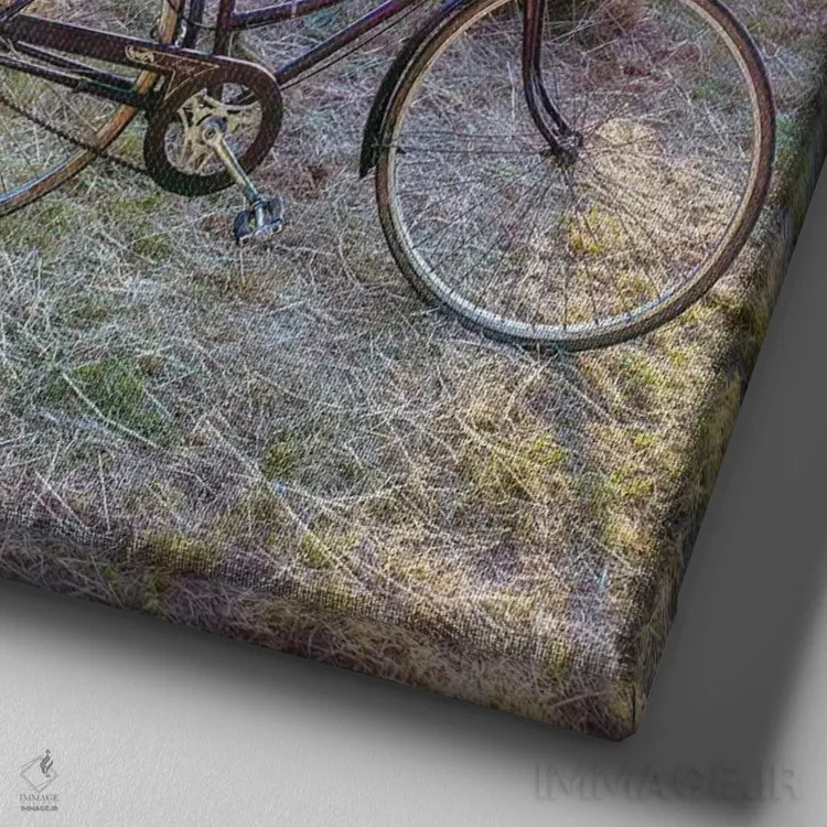 تابلو اسطوخودوس اثر آصاف فرانک - نمای نزدیک بافت بوم