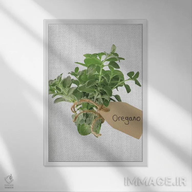 تابلو پونه کوهی اثر آصاف فرانک - نمای قابدار سفید