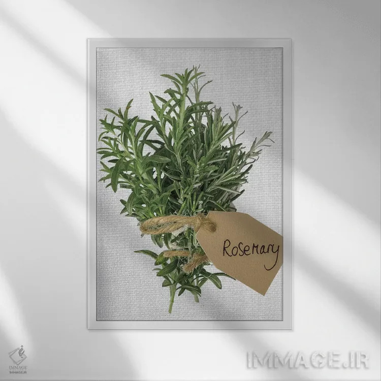 تابلو رزماری اثر آصاف فرانک - نمای قابدار سفید