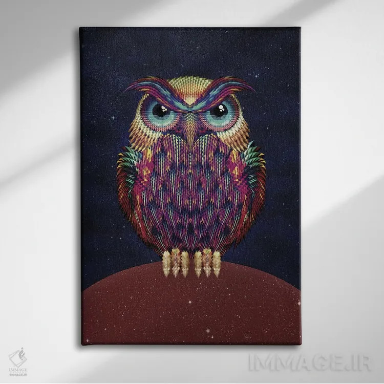 تابلو جغد شماره ۲ اثر علی گولچ - نمای روبهرو روی دیوار