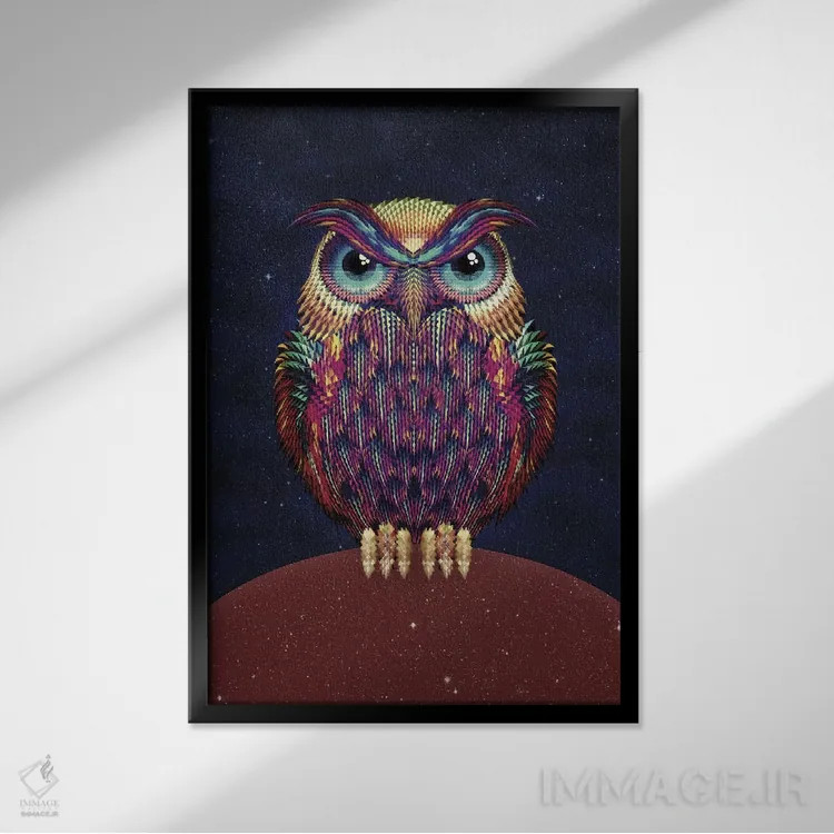 تابلو جغد شماره ۲ اثر علی گولچ - نمای قابدار مشکی