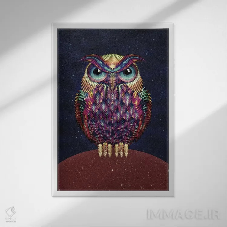 تابلو جغد شماره ۲ اثر علی گولچ - نمای قابدار سفید