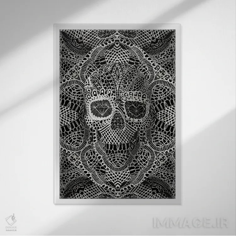 تابلو جمجمه توری اثر علی گولچ - نمای قابدار سفید