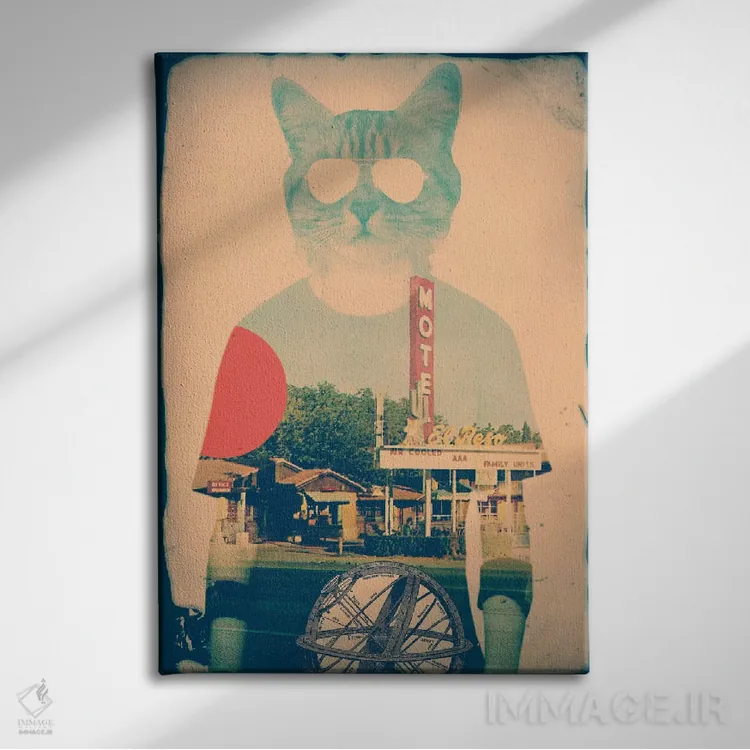 تابلو گربه شیک اثر علی گولچ - نمای روبهرو روی دیوار
