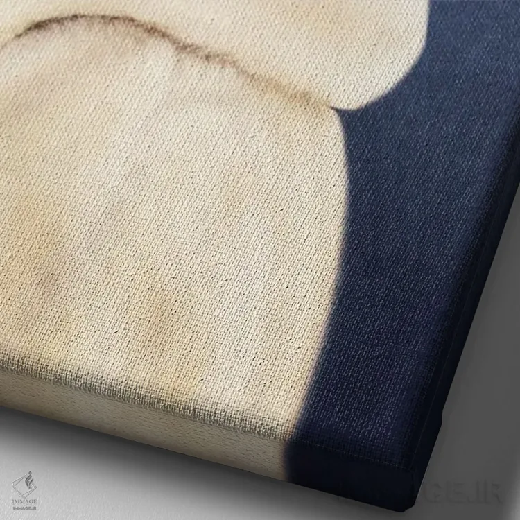 تابلو پنی لا رو اثر آرک و گوستز (گروه هنری) - نمای نزدیک بافت بوم