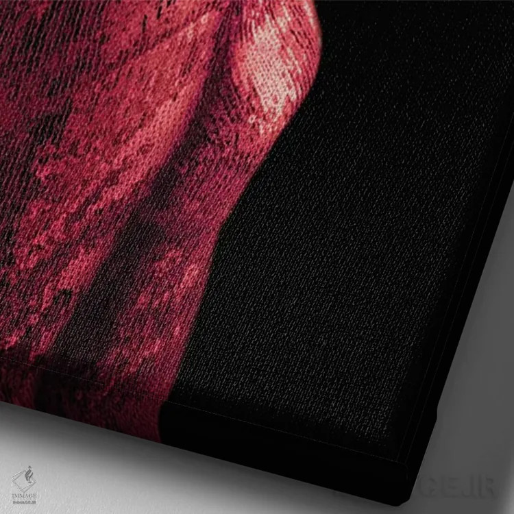 تابلو گوئن (قرمز) اثر آرک و گوستز (گروه هنری) - نمای نزدیک بافت بوم