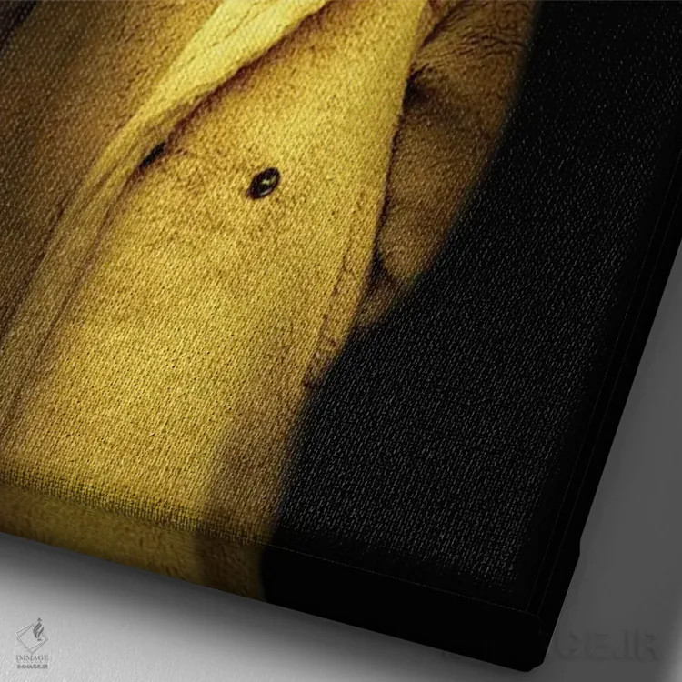 تابلو ملانی اثر آرک و گوستز (گروه هنری) - نمای نزدیک بافت بوم