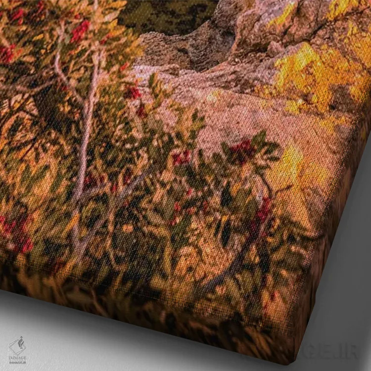 تابلو صخره قلبی شکل ساحل بنگیل پرتغال اثر الکس جی پرز - نمای نزدیک بافت بوم