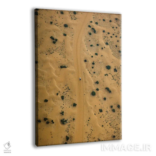 تابلو جاده صحرایی دبی اثر الکس جی پرز - نمای پرسپکتیو محصول