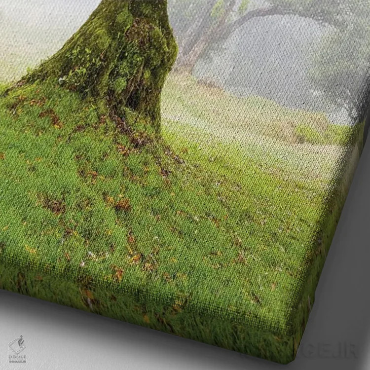 تابلو جنگل قدیمی مهآلود فانال جزیره مادیرا پرتغال (قسمت اول) اثر الکس جی پرز - نمای نزدیک بافت بوم