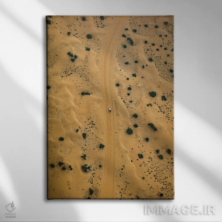 تابلو جاده صحرایی دبی اثر الکس جی پرز - نمای روبهرو روی دیوار